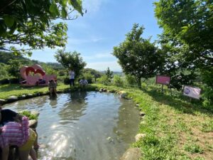 八里桃樂絲柚香農場